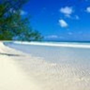 Meet your Posher, Noelle